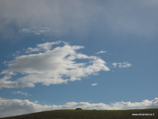 stello di Poira-22-12-2012 10-19-21